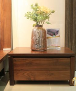 Táp đầu giường Aster